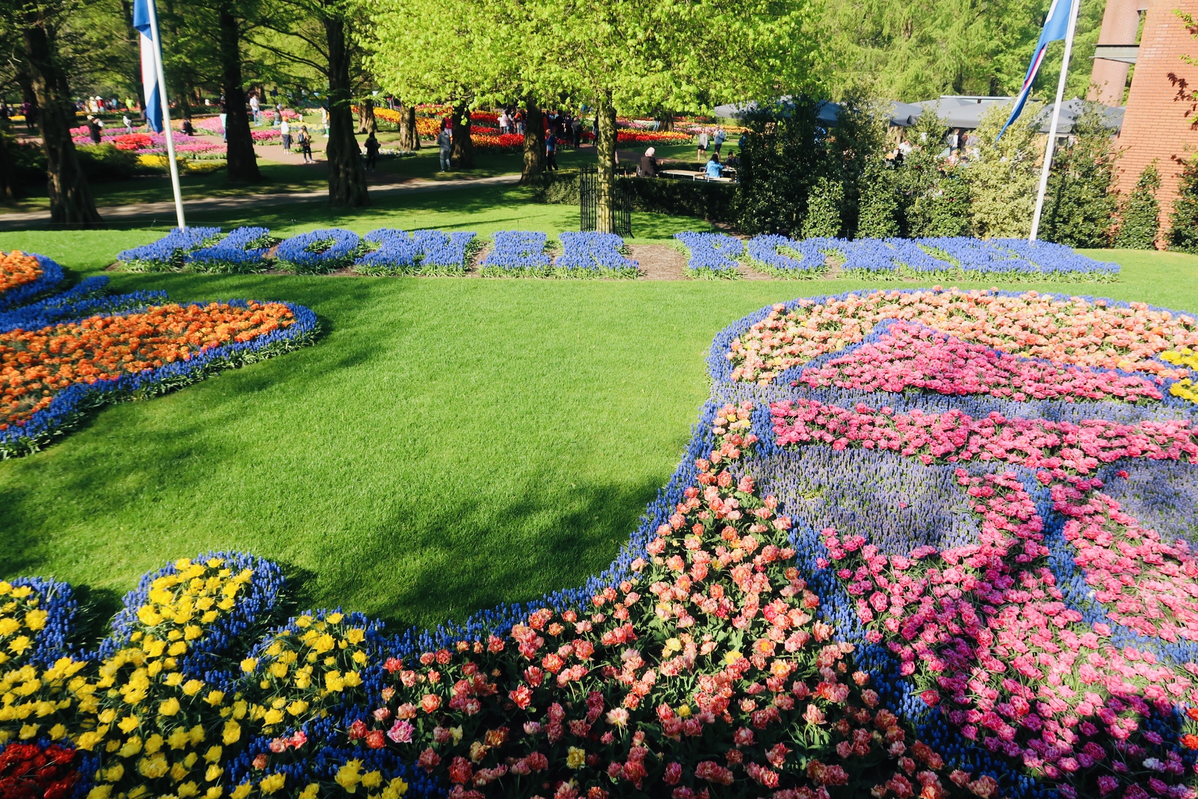 -1783852459355952267_IMG_2154