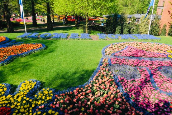 -1783852459355952267_IMG_2154