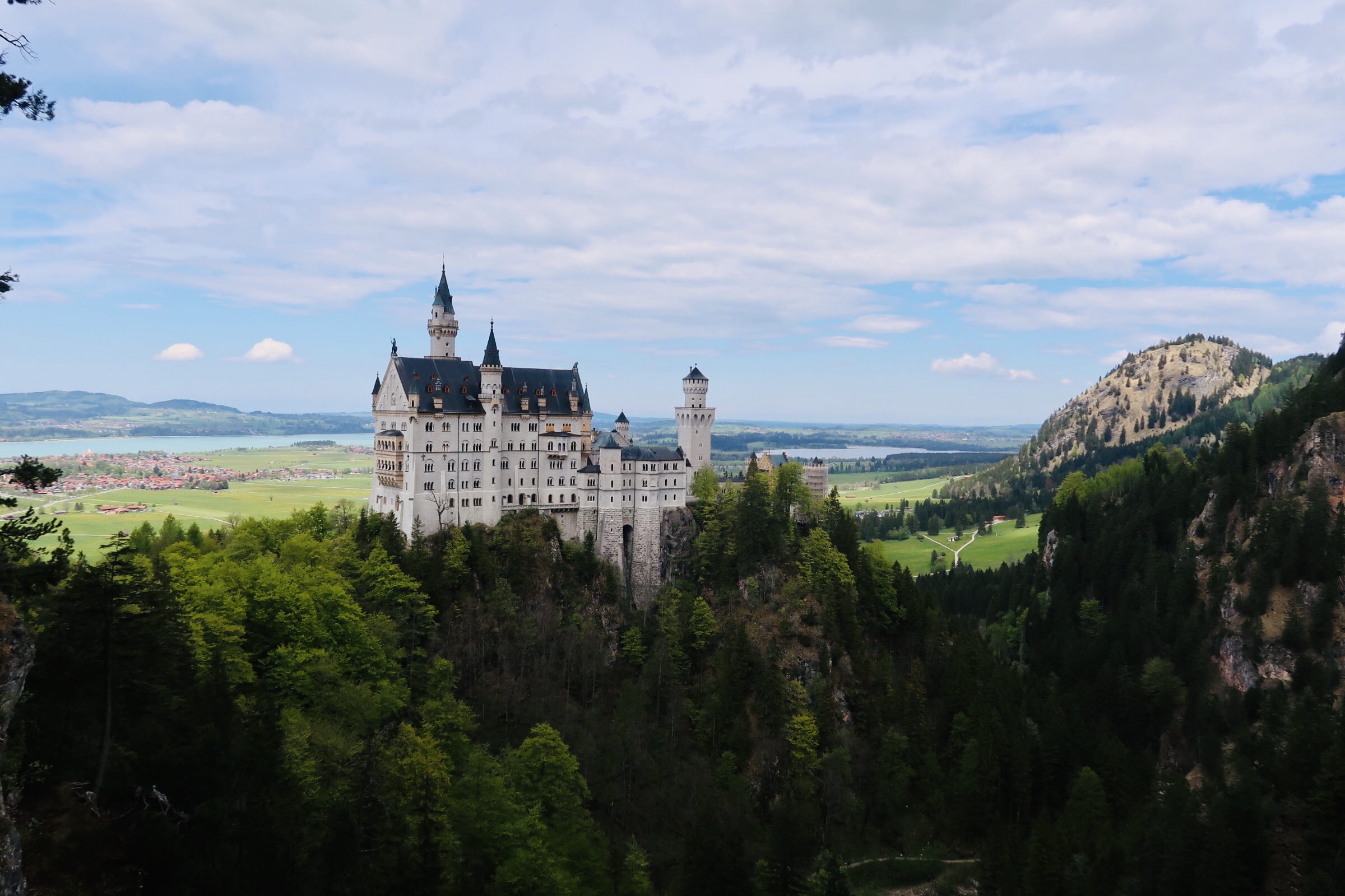 -8329587099912118466_IMG_3378