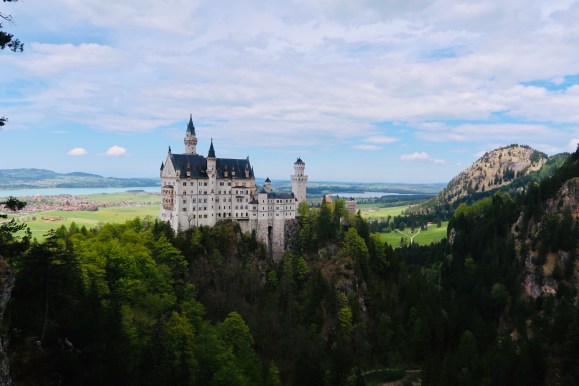 -8329587099912118466_IMG_3378