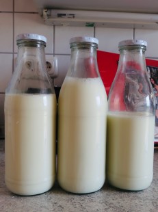 -6120453172414164475_IMG_5483